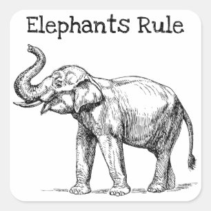 Elephants Rule Square Sticker