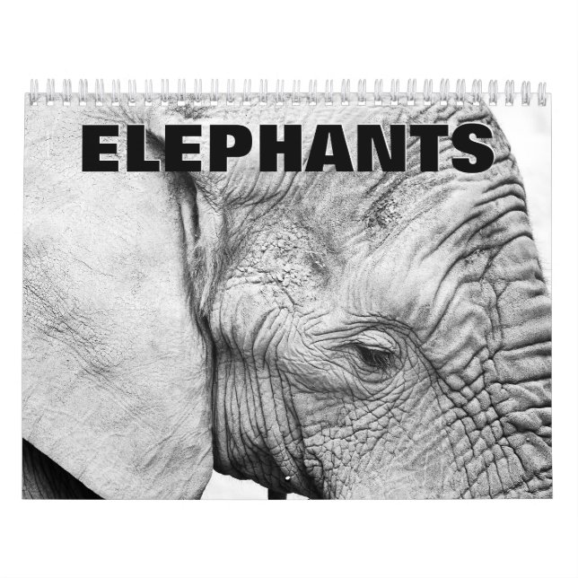 Elephants Wall Calendar (Cover)