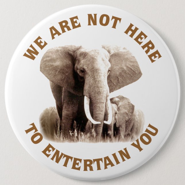 Elephats Deserve Respect 6 Cm Round Badge (Front)