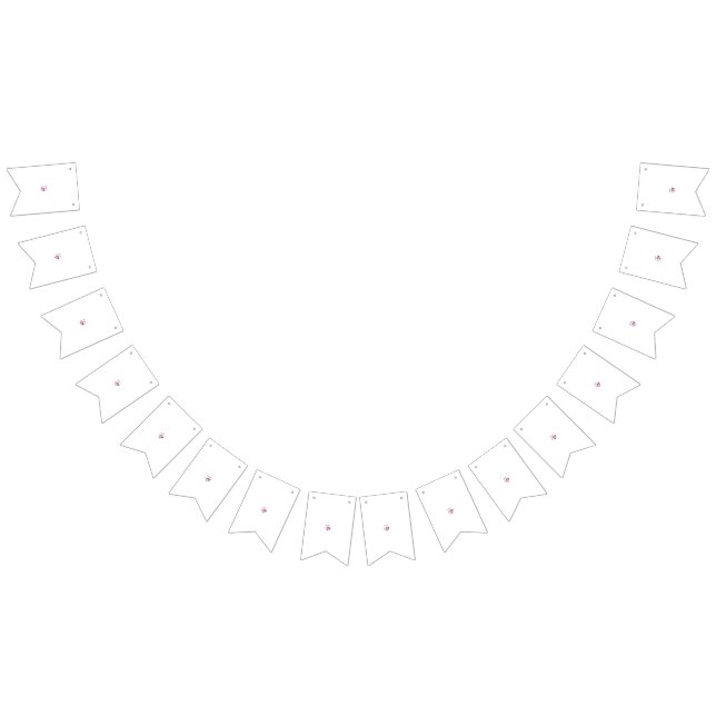 Elevate Your Parties with Vibrant Bunting Banners  (All)