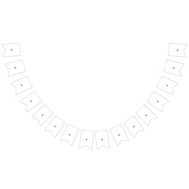 Elevate Your Parties with Vibrant Bunting Banners  (All)