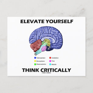 Elevate Yourself Think Critically Brainy Advice Postcard