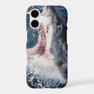 Elevated Shark mouth open