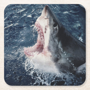 Elevated Shark mouth open Square Paper Coaster