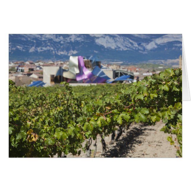 Elevated town view and Hotel Marques de Riscal (Front Horizontal)
