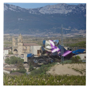 Elevated town view and Hotel Marques de Riscal Tile