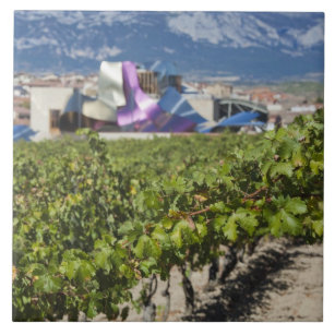 Elevated town view and Hotel Marques de Riscal Tile