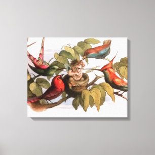Elf Bird Sprite Pixie Brownie Fairy Tale Canvas Print