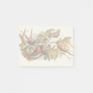Elf Bird Sprite Pixie Brownie Fairy Tale Post-it Notes