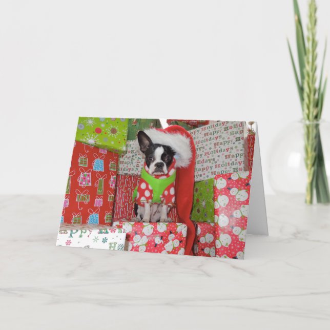 Elf Boston Terrier Card (Front)