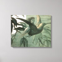 Elf Fairies Elves Moon Night Scene Bird Flying