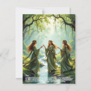 Elf Gathering  Postcard