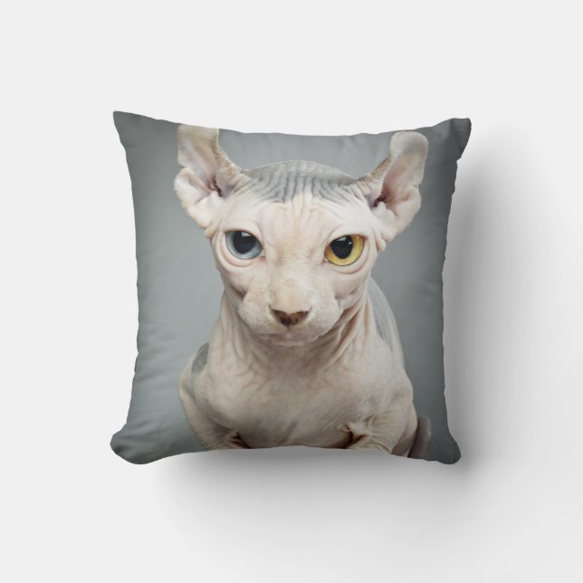 Elf Sphinx Cat Photograph Cushion (Front)