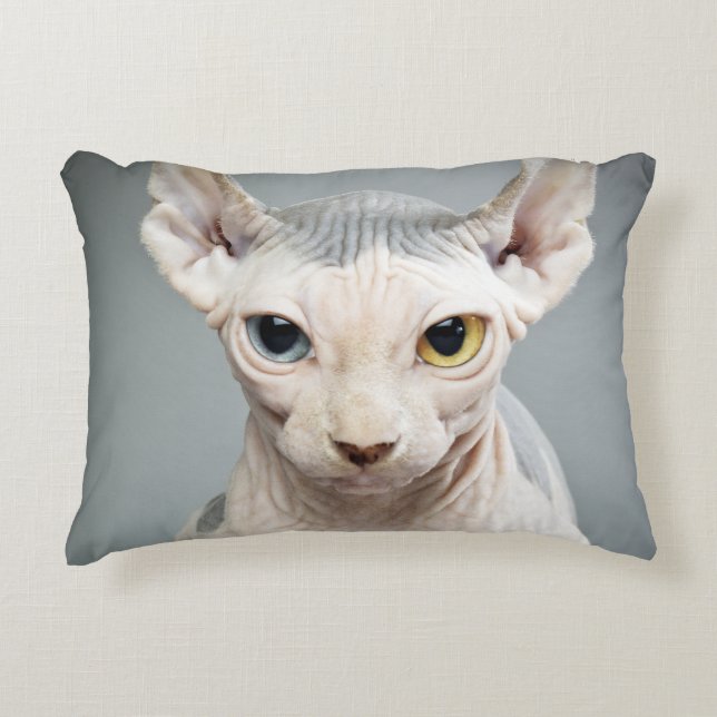 Elf Sphinx Cat Photograph Image Decorative Cushion (Front)