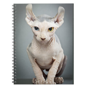 Elf Sphinx Cat Photograph Spiral Notebook