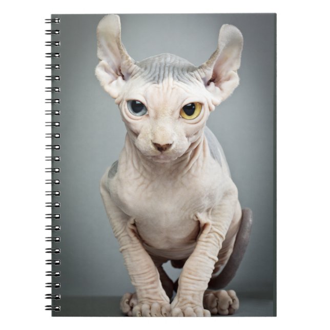 Elf Sphinx Cat Photograph Spiral Notebook (Front)