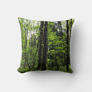 Elijah Bristow State Park, Dexter, Oregon Cushion