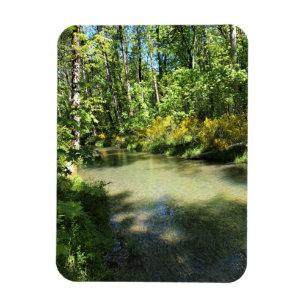 Elijah Bristow State Park, Dexter, Oregon Magnet