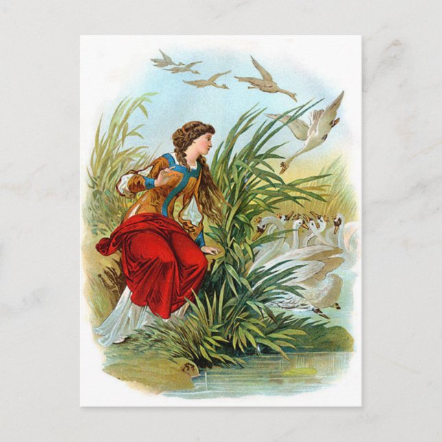 Elisa And The Wild Swans Postcard (Front)
