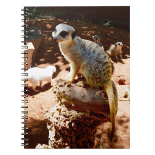 Eliza Queen Of The Meerkats, Notebook