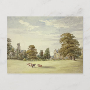 Elizabeth Murray - Cows before Manor House and Postcard