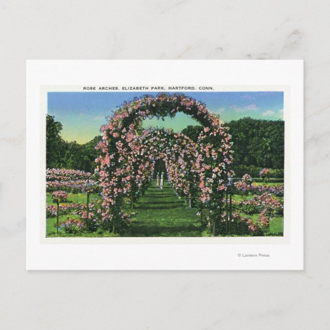 Elizabeth Park View of the Rose Arches Postcard (Front)