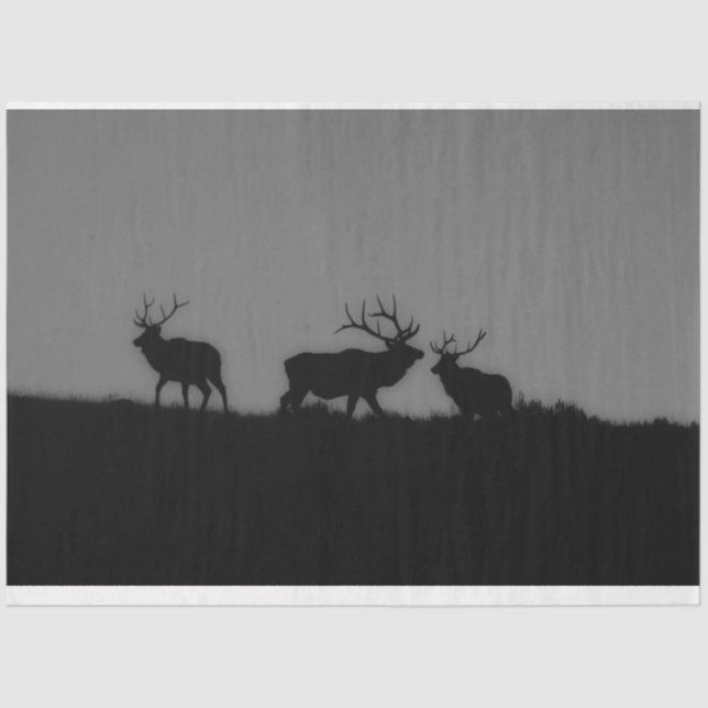 Elk 1 tissue paper (Front)