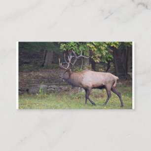 Elk 2 business card
