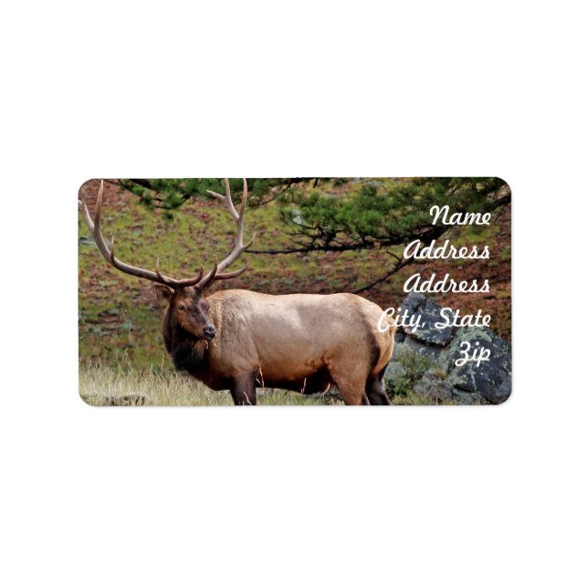 Elk Address Sticker (Front)