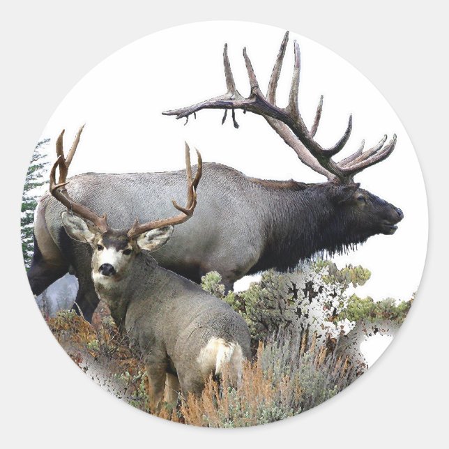 Elk and mule deer classic round sticker (Front)