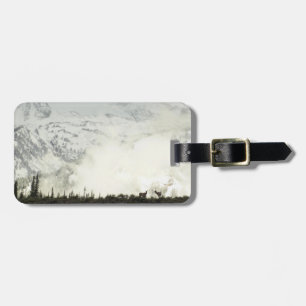 Elk at Grand Teton National Park Photography Luggage Tag