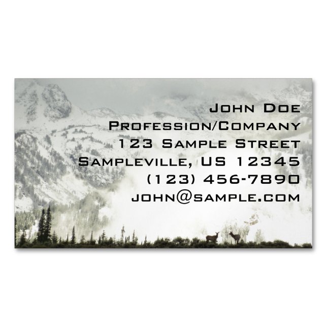 Elk at Grand Teton National Park Photography Magnetic Business Card (Front)