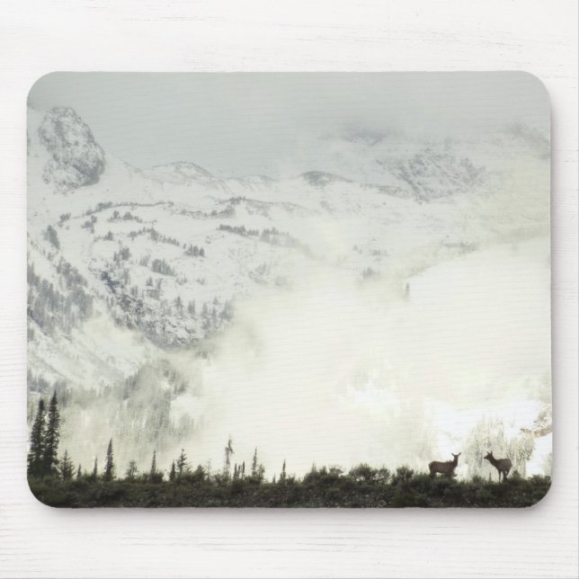 Elk at Grand Teton National Park Photography Mouse Pad (Front)