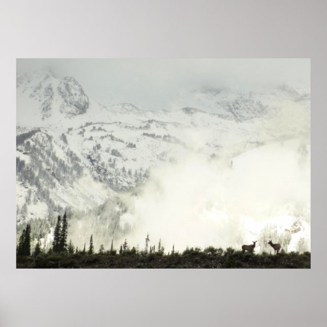 Elk at Grand Teton National Park Photography Poster (Front)