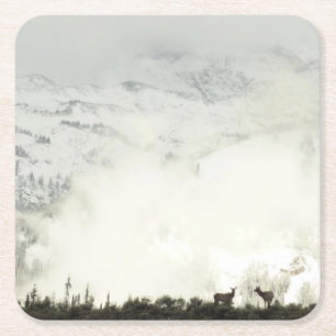 Elk at Grand Teton National Park Photography Square Paper Coaster