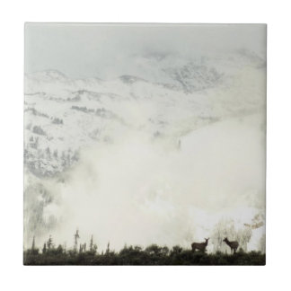 Elk at Grand Teton National Park Photography Tile
