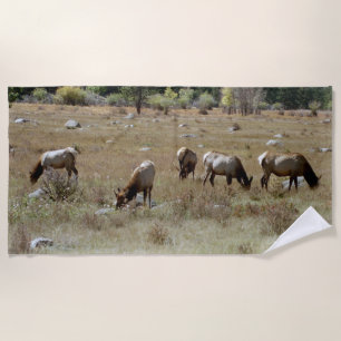Elk beach towel