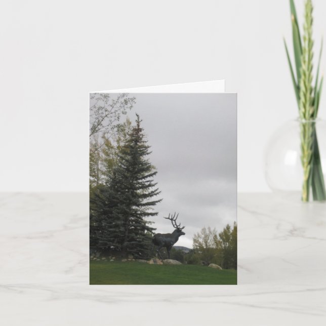 Elk Birthday Card (Front)