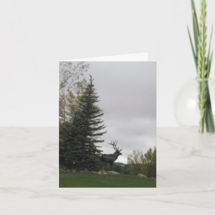 Elk Birthday Card