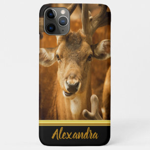 Elk buck looking right at you Case-Mate iPhone case