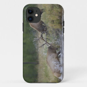 Elk Bulls fighting, Yellowstone NP, Wyoming Case-Mate iPhone Case