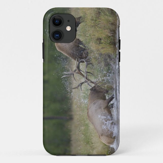 Elk Bulls fighting, Yellowstone NP, Wyoming Case-Mate iPhone Case (Back)