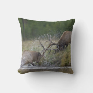 Elk Bulls fighting, Yellowstone NP, Wyoming Cushion