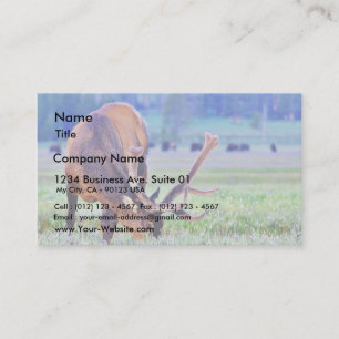 Elk Business Card