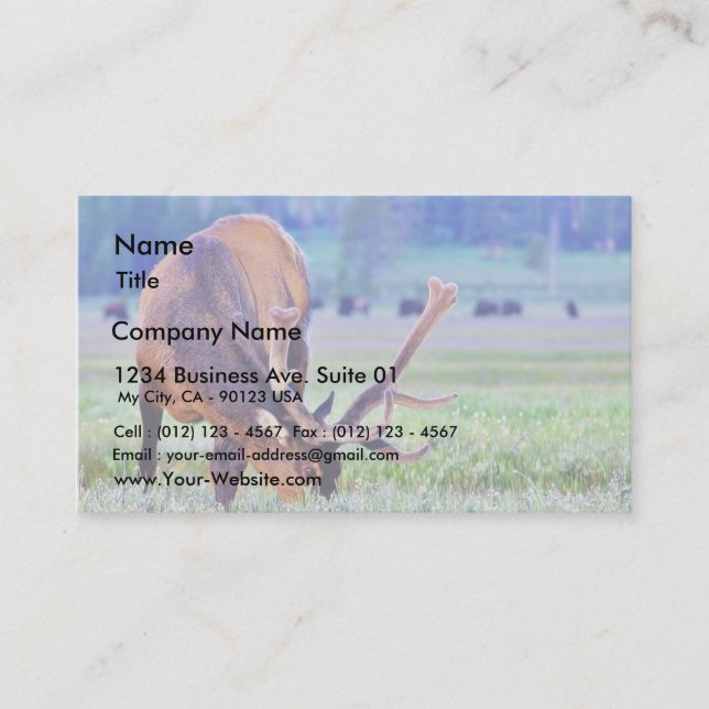 Elk Business Card (Front)