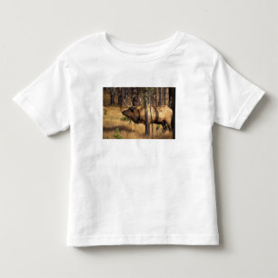 elk, Cervus elaphus, bull bugles in a burnt out Toddler T-Shirt
