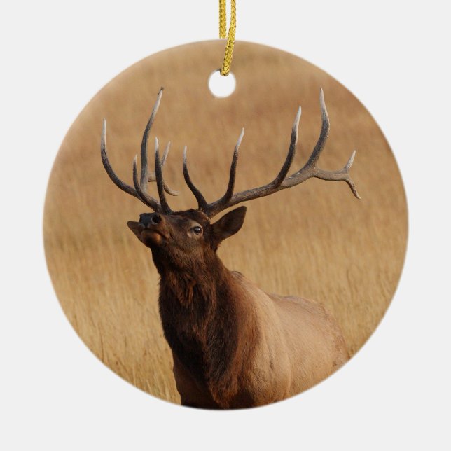 elk charging ceramic tree decoration (Front)