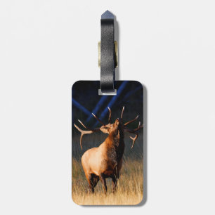 Elk Charging Luggage Tag