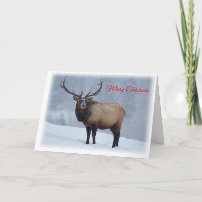 Elk Christmas Card (Front)