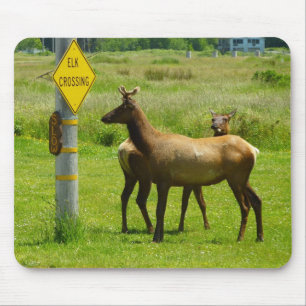 Elk Crossing California Wildlife Photography Mouse Pad